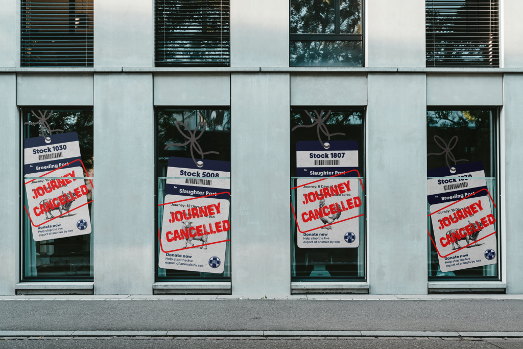 free four front view window mockups