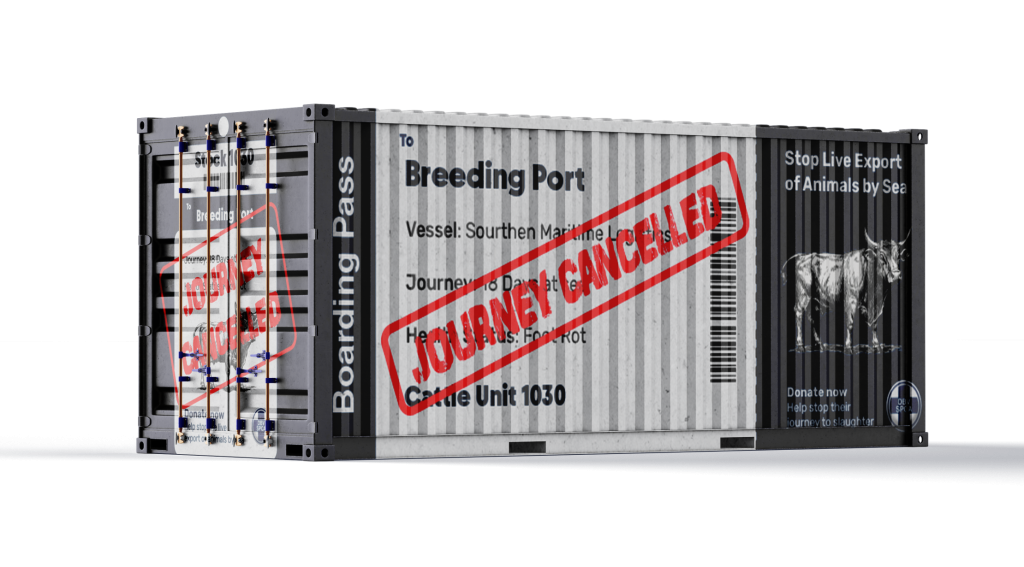 SPCA campaign Shipping Container mockup