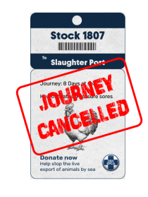 Projects SPCA campaign tag poster