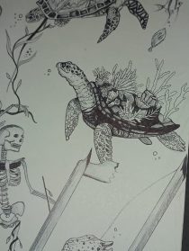 Projects Black Pen drawing of a turtle