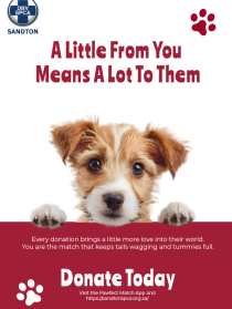 Projects SPCA Donation Poster
