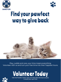 Projects SPCA Donation Poster
